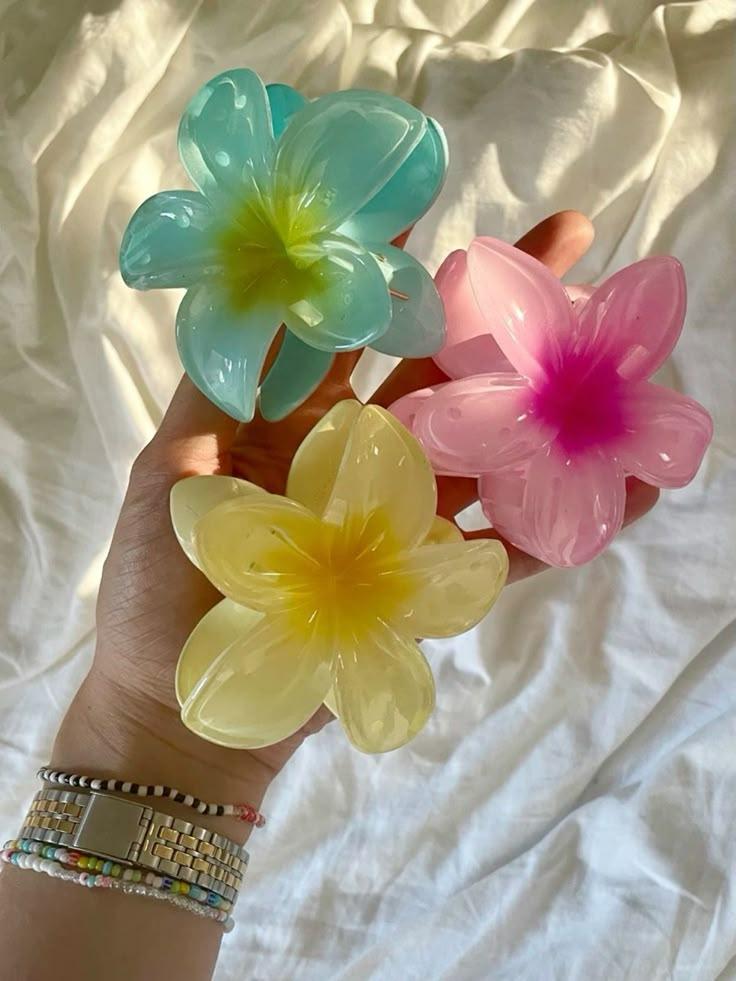 Garden Harmony: A Symphony in Blooms